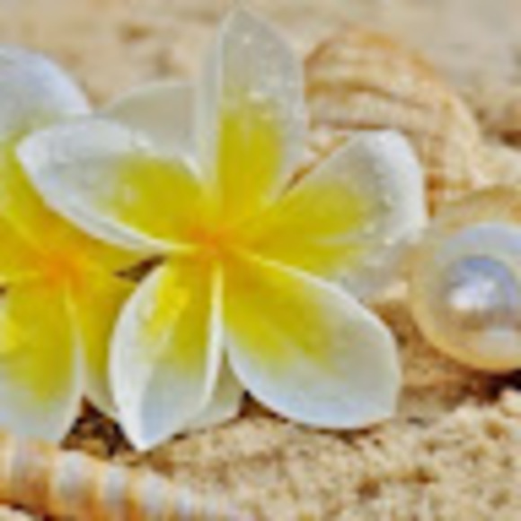pg808hawaii